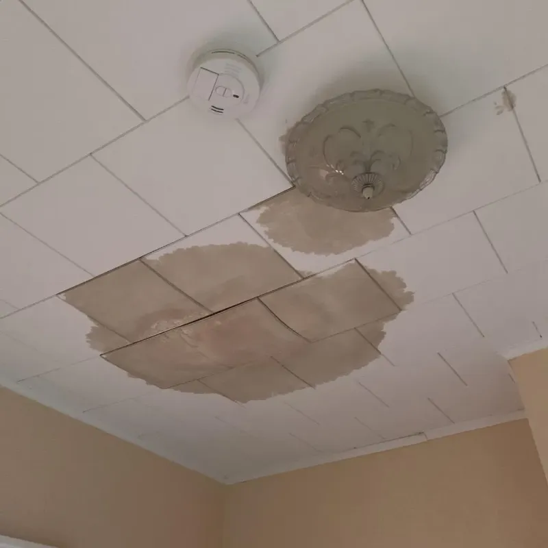 Ceiling Water Damage Repair in Green Valley Farms, TX